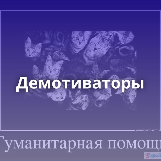 Демотиваторы