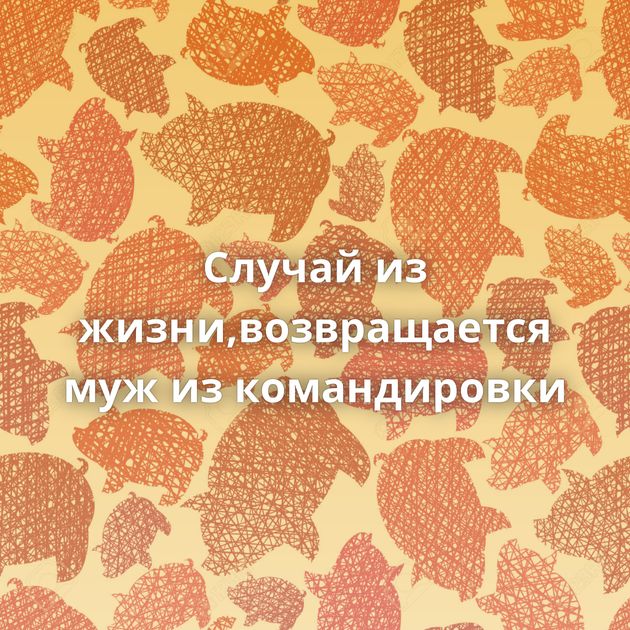 Случай из жизни,возвращается муж из командировки