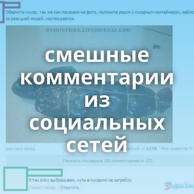 смешные комментарии из социальных сетей