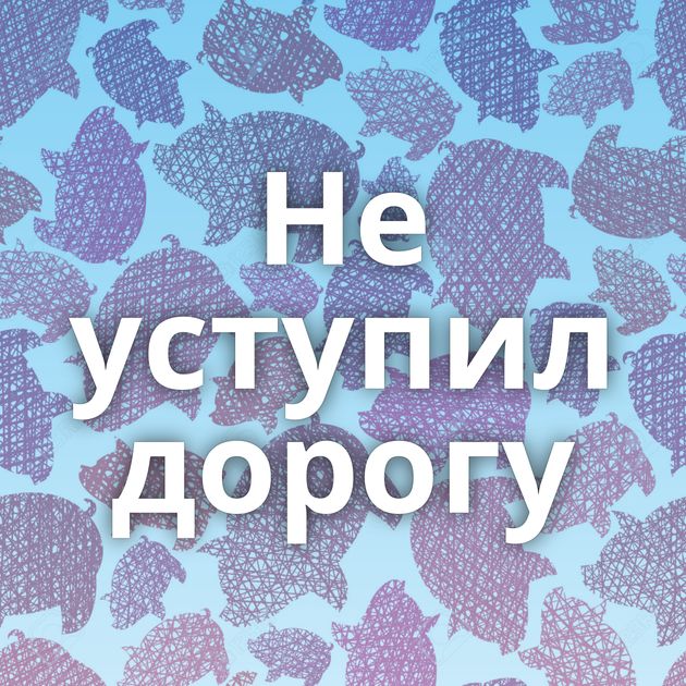 Не уступил дорогу