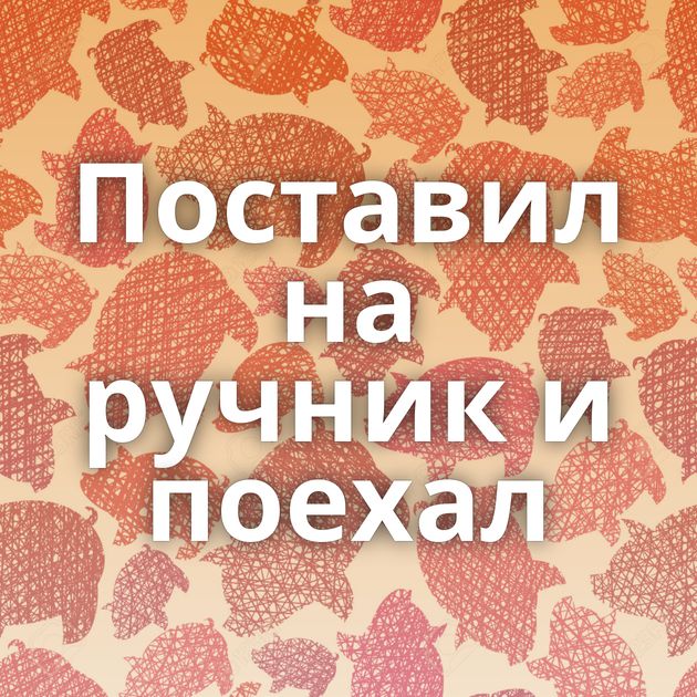 Поставил на ручник и поехал