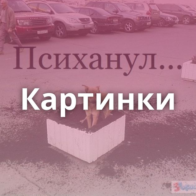 Картинки