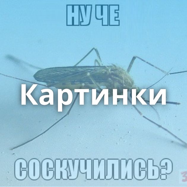 Картинки