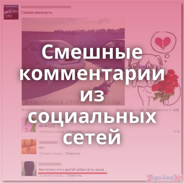 Смешные комментарии из социальных сетей