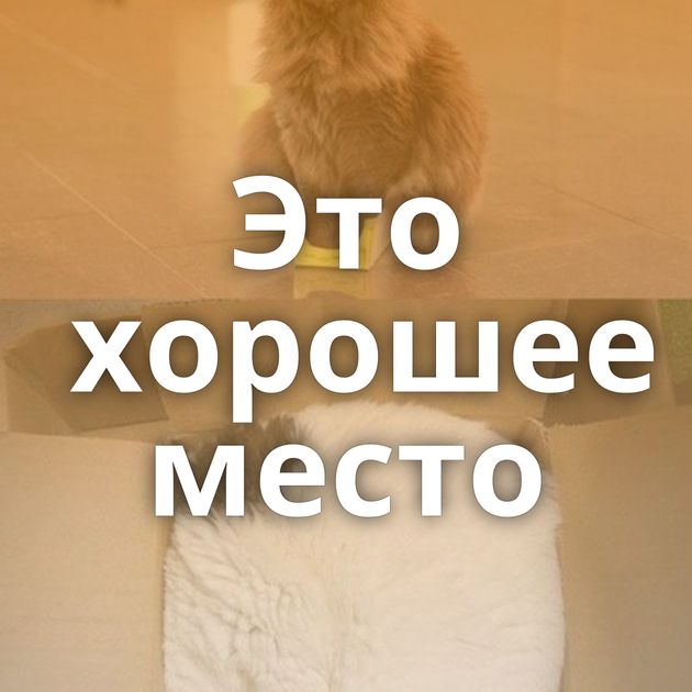 Это хорошее место