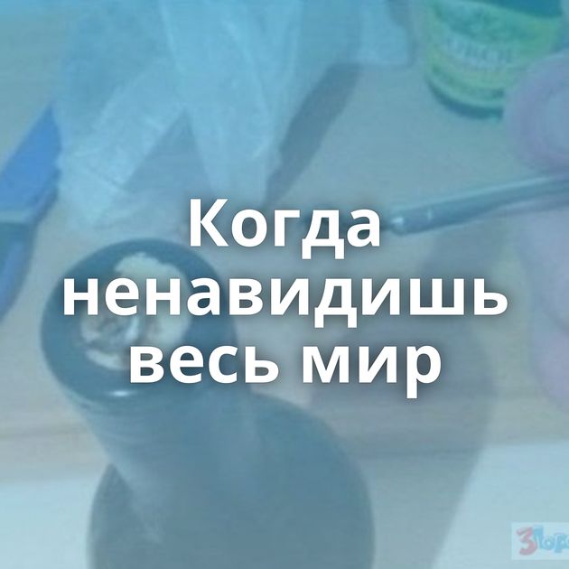 Когда ненавидишь весь мир