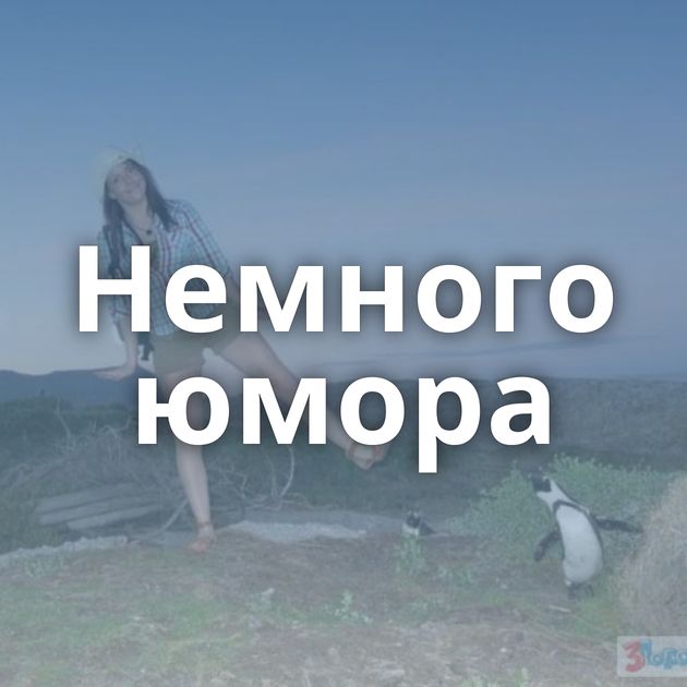 Немного юмора