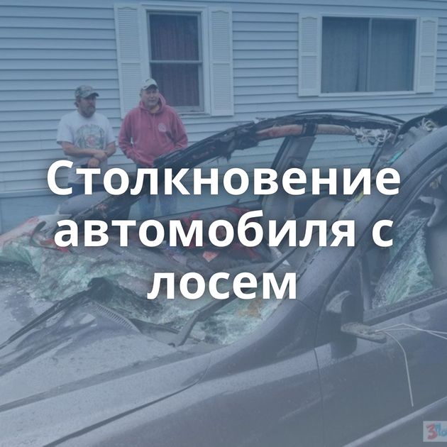 Столкновение автомобиля с лосем