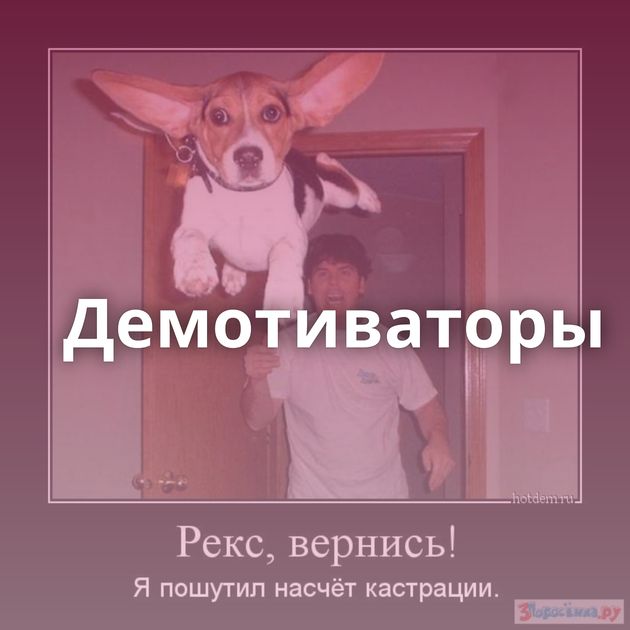 Демотиваторы