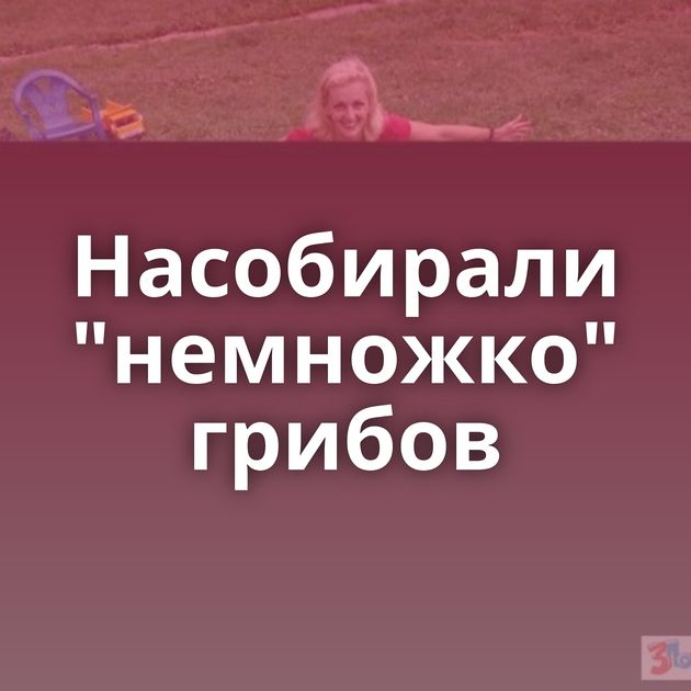 Насобирали 