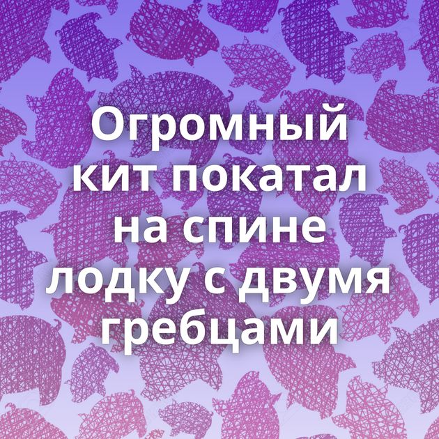 Огромный кит покатал на спине лодку с двумя гребцами