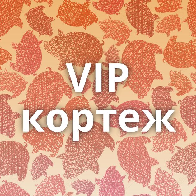 VIP кортеж