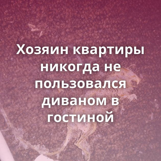 Хозяин квартиры никогда не пользовался диваном в гостиной