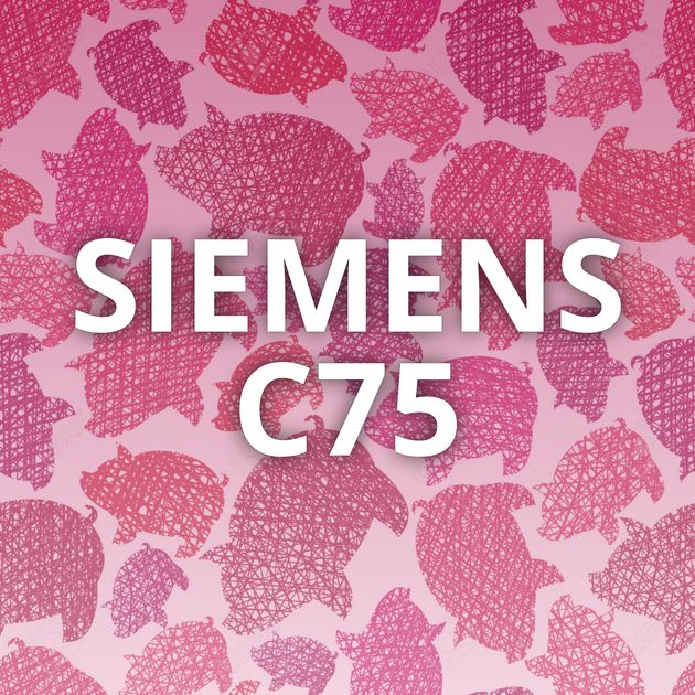 SIEMENS C75