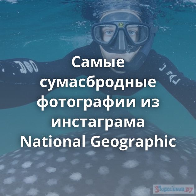 Самые сумасбродные фотографии из инстаграма National Geographic