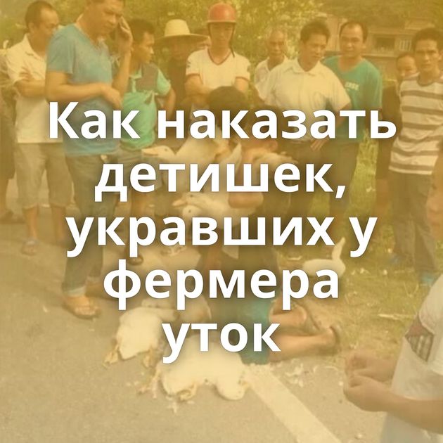 Как наказать детишек, укравших у фермера уток