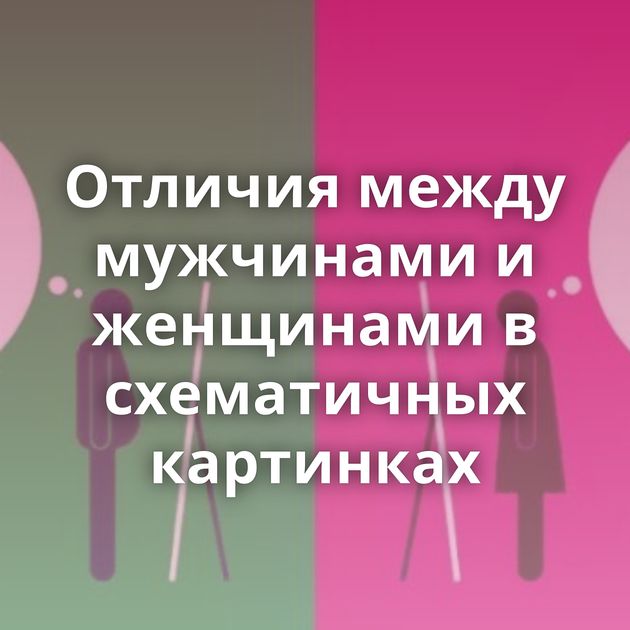 Отличия между мужчинами и женщинами в схематичных картинках