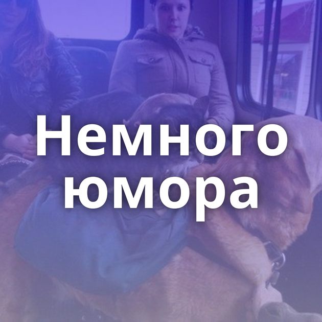 Немного юмора