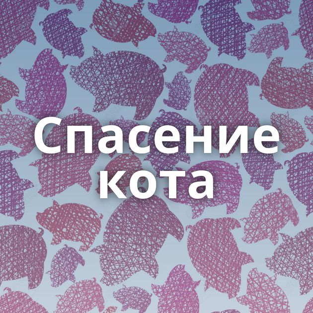 Спасение кота