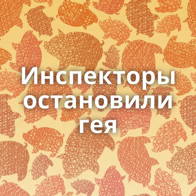 Инспекторы остановили гея