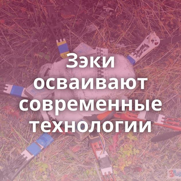 Зэки осваивают современные технологии