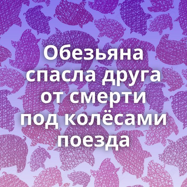 Обезьяна спасла друга от смерти под колёсами поезда