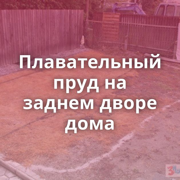 Плавательный пруд на заднем дворе дома