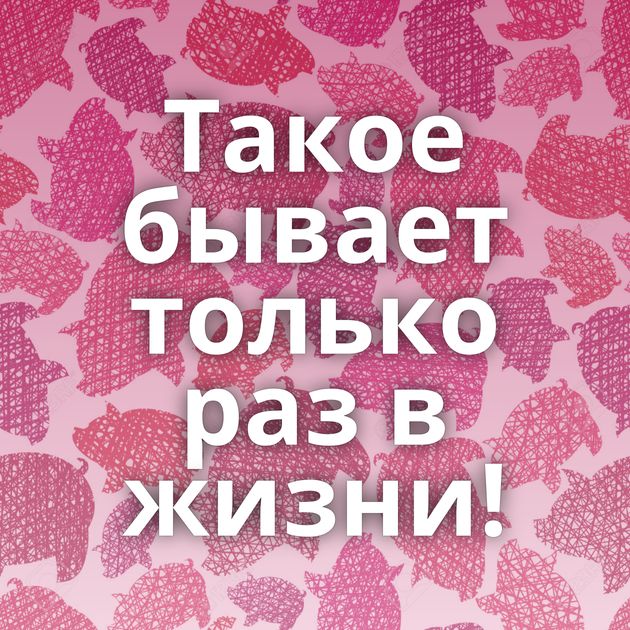 Такое бывает только раз в жизни!