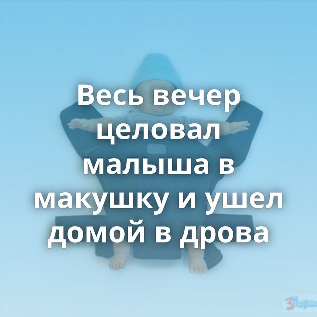 Весь вечер целовал малыша в макушку и ушел домой в дрова