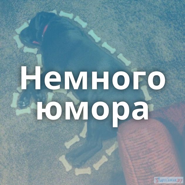 Немного юмора