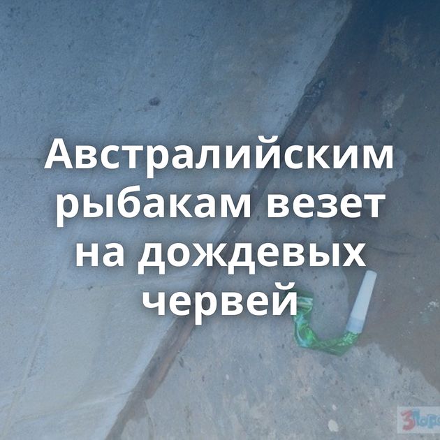 Австралийским рыбакам везет на дождевых червей