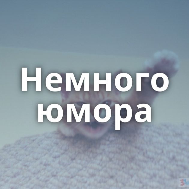 Немного юмора