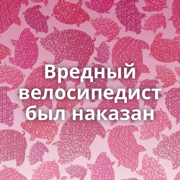 Вредный велосипедист был наказан