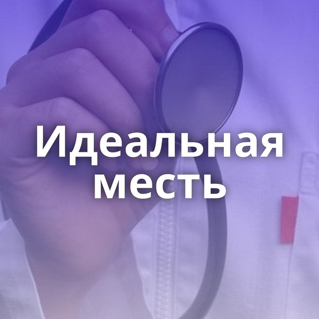 Идеальная месть