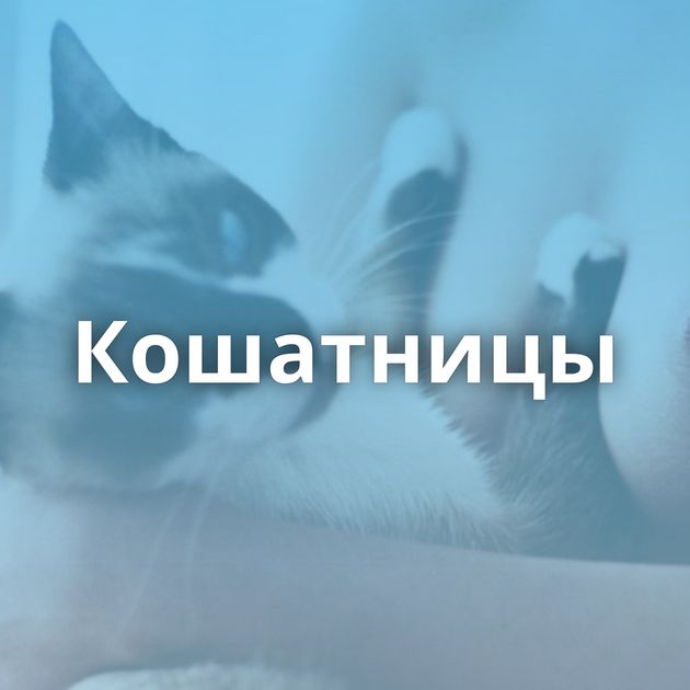 Кошатницы