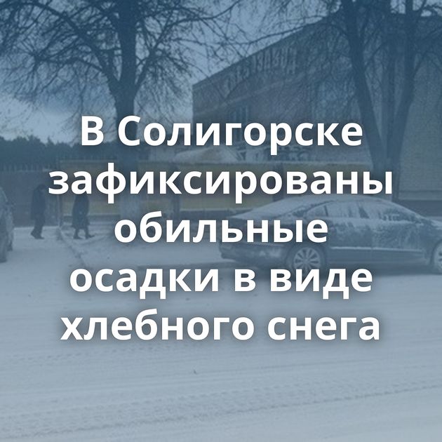 В Солигорске зафиксированы обильные осадки в виде хлебного снега
