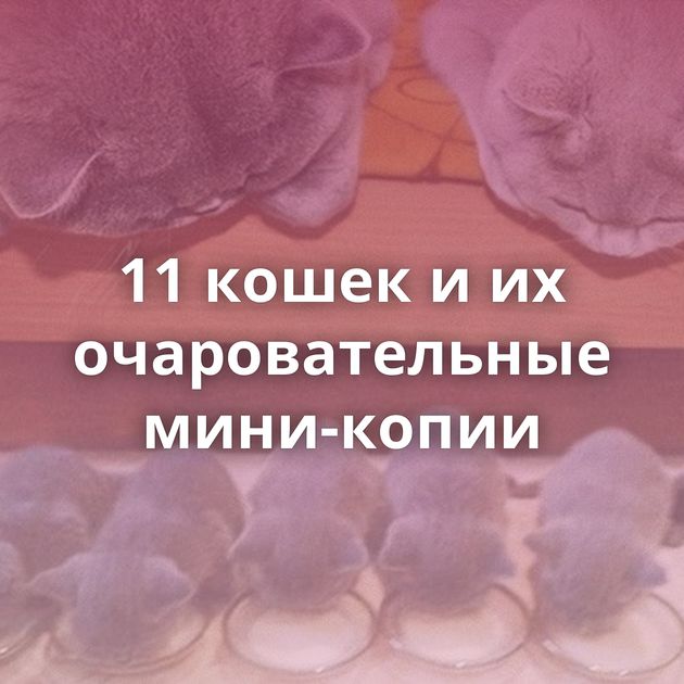 11 кошек и их очаровательные мини-копии