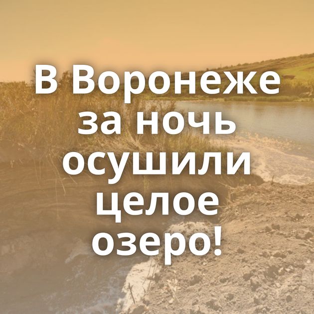 В Воронеже за ночь осушили целое озеро!