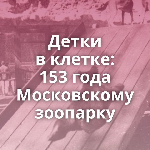 Детки в клетке: 153 года Московскому зоопарку