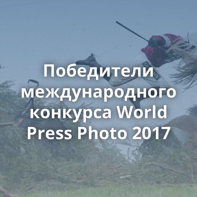 Победители международного конкурса World Press Photo 2017