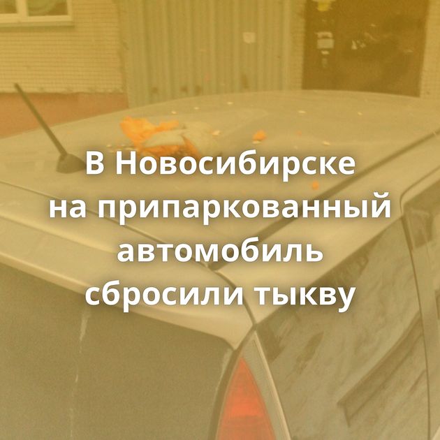 В Новосибирске на припаркованный автомобиль сбросили тыкву