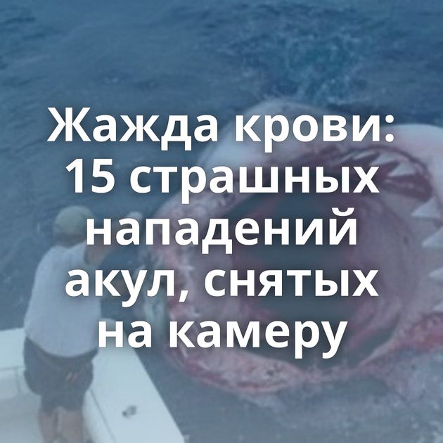 Жажда крови: 15 страшных нападений акул, снятых на камеру