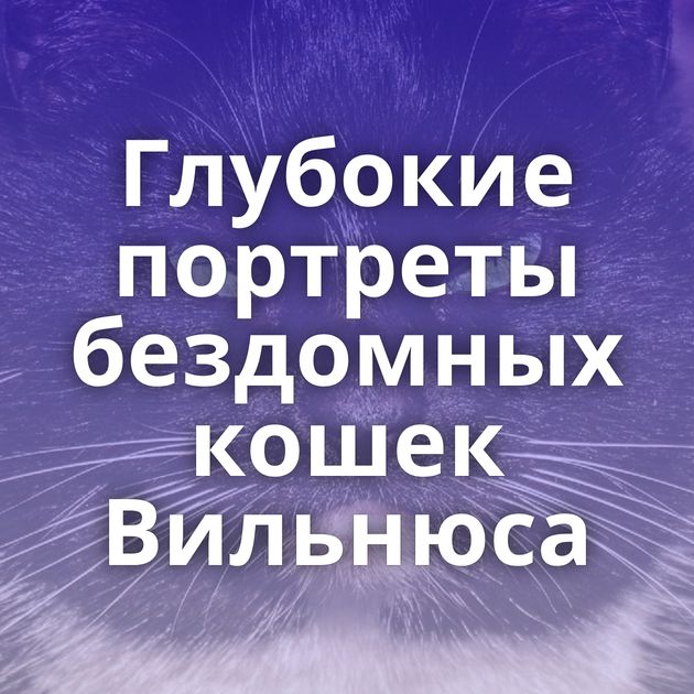 Глубокие портреты бездомных кошек Вильнюса