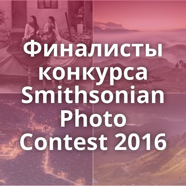 Финалисты конкурса Smithsonian Photo Contest 2016