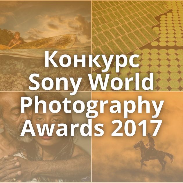 Конкурс Sony World Photography Awards 2017