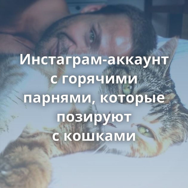 Инстаграм-аккаунт с горячими парнями, которые позируют с кошками
