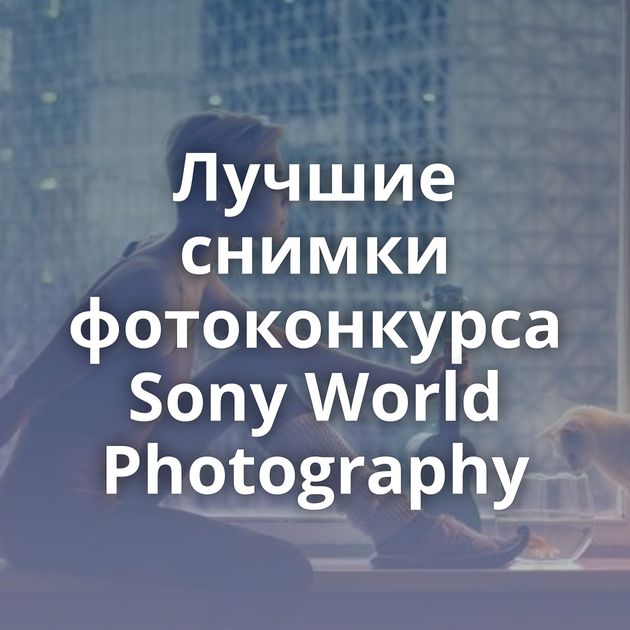 Лучшие снимки фотоконкурса Sony World Photography