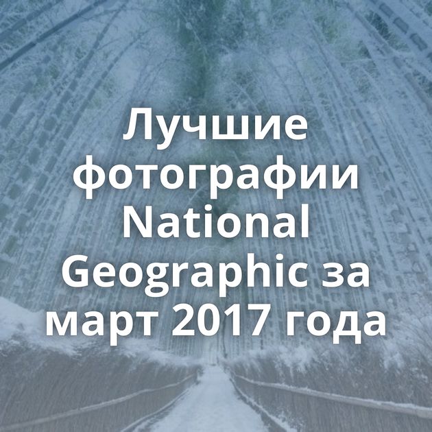 Лучшие фотографии National Geographic за март 2017 года