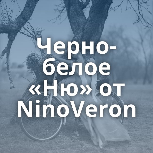 Черно-белое «Ню» от NinoVeron