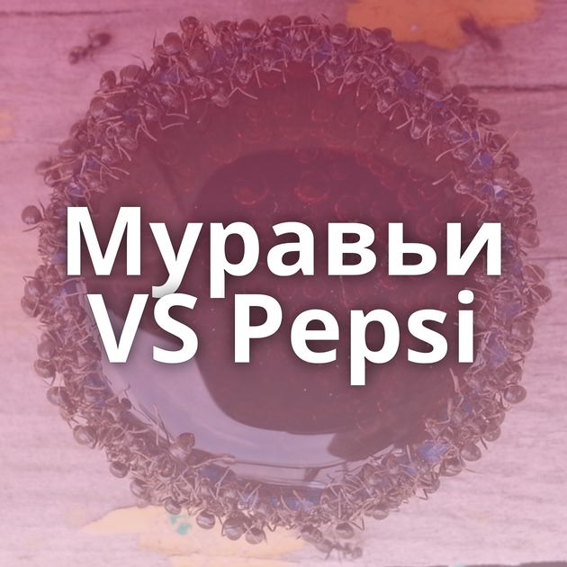 Муравьи VS Pepsi